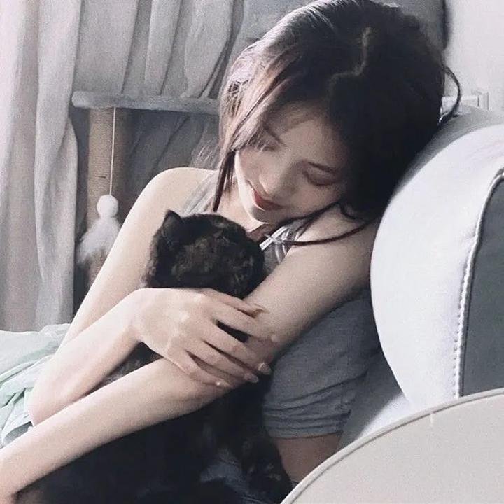 苦菜花